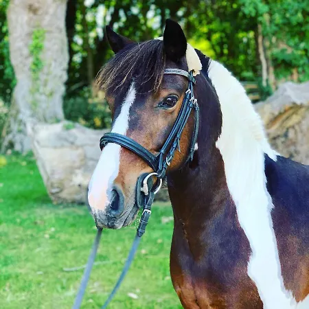 L'echappee Saline Saint-Molf