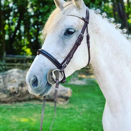 L'echappee Saline Bed and Breakfast 3*