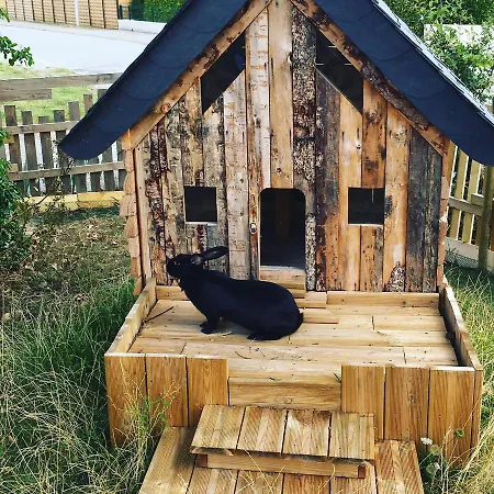 Bed and Breakfast L'echappee Saline 3*