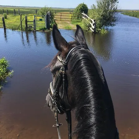 L'echappee Saline 3* Saint-Molf