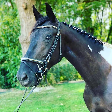 L'echappee Saline Bed and Breakfast 3*