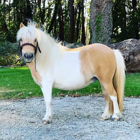 L'echappee Saline Bed and Breakfast Saint-Molf