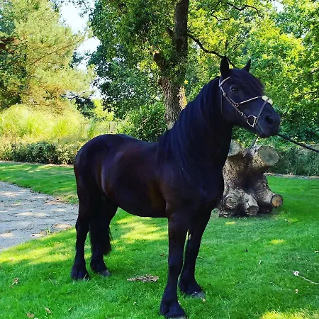 L'echappee Saline Saint-Molf