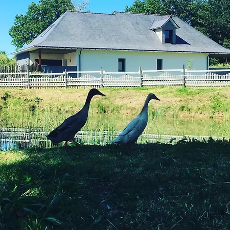 L'echappee Saline Bed and Breakfast Saint-Molf