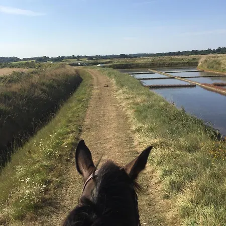 L'echappee Saline 3* Saint-Molf