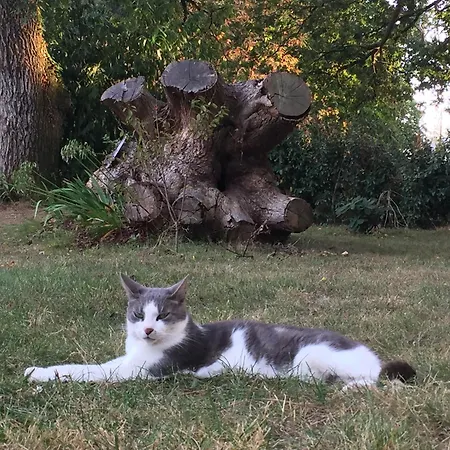 L'echappee Saline 3*