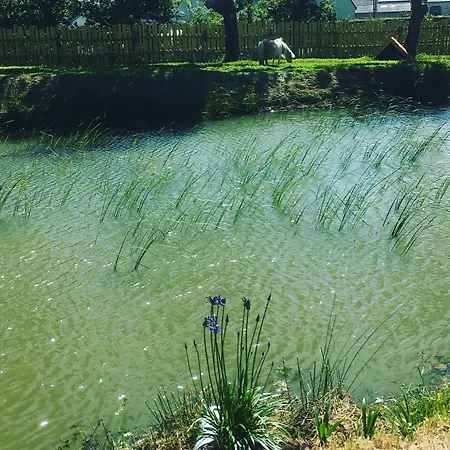 L'echappee Saline Bed and Breakfast Saint-Molf