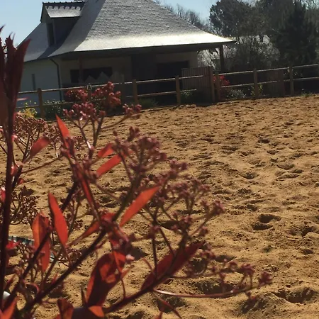 L'echappee Saline Bed and Breakfast Saint-Molf