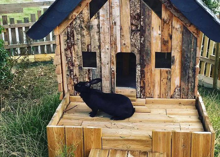 Bed & Breakfast L'échappée Saline Saint-Molf
