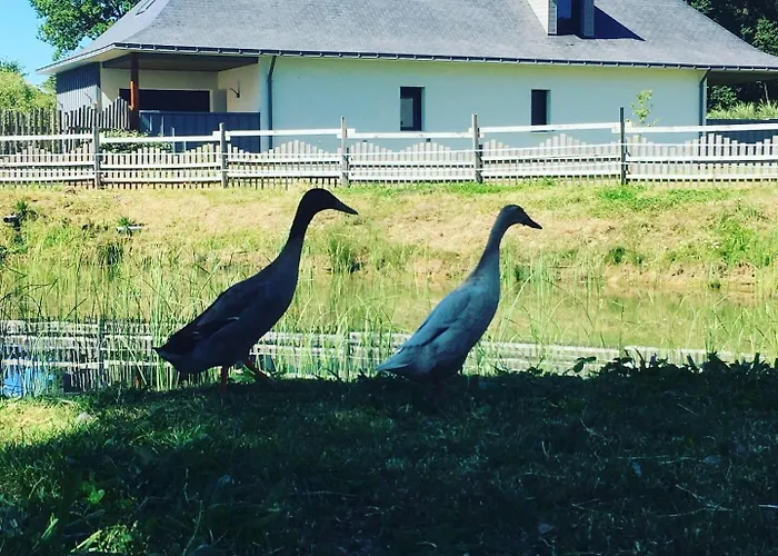L'échappée Saline Bed & Breakfast Saint-Molf