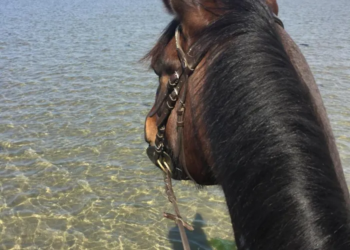 L'échappée Saline Bed & Breakfast