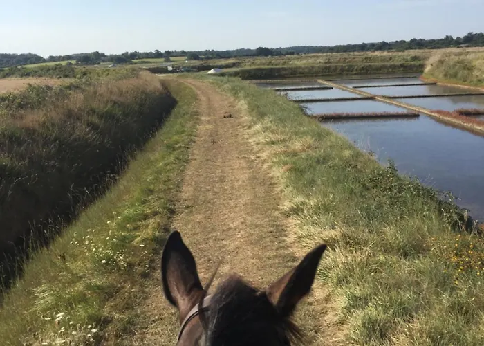 L'échappée Saline 3* Saint-Molf