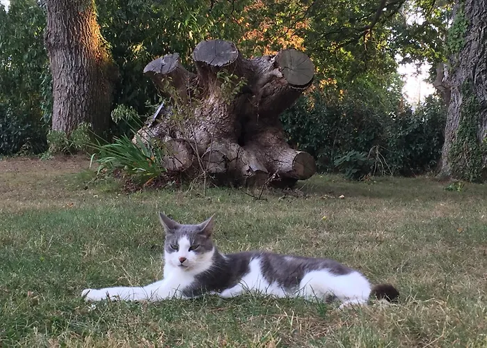 L'échappée Saline 3*