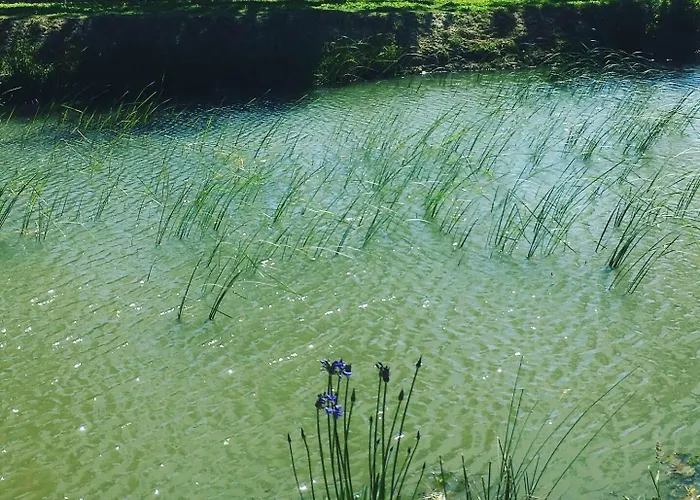 L'échappée Saline Bed & Breakfast Saint-Molf