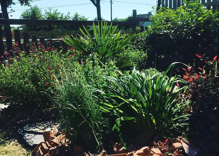 L'échappée Saline 3*