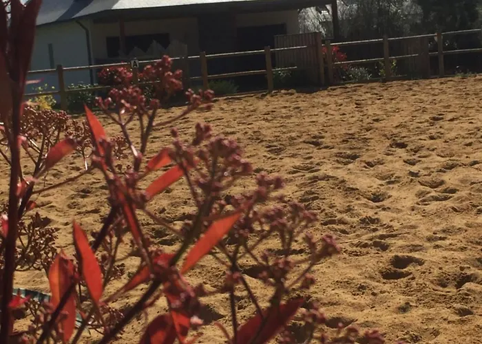 L'échappée Saline Bed & Breakfast Saint-Molf