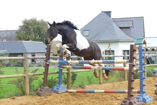 Bed & Breakfast L'échappée Saline 3*